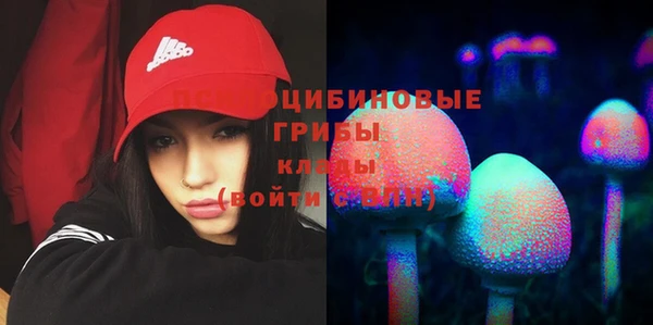 соль курить ск Алексеевка