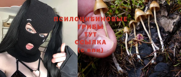 mdma Медногорск