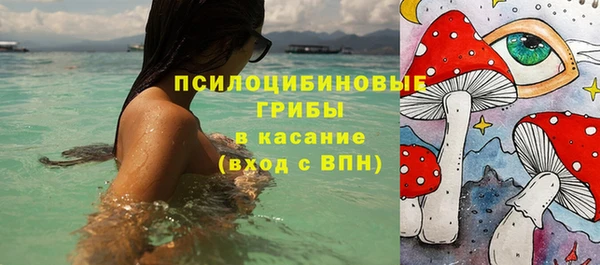 бутират Алзамай