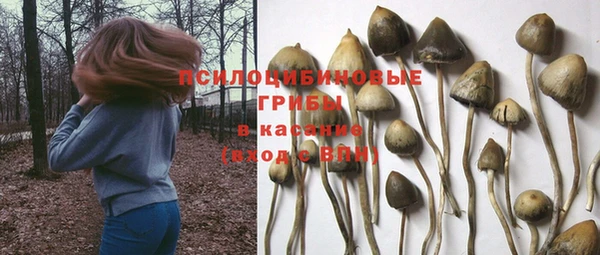 соль курить ск Алексеевка