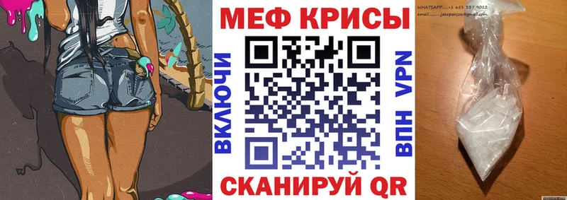 OMG вход  Сураж  МЯУ-МЯУ мяу мяу 