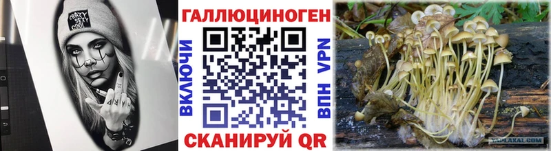 Галлюциногенные грибы Cubensis Сураж
