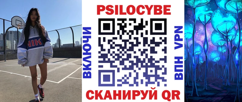 Псилоцибиновые грибы прущие грибы  где продают наркотики  Сураж 